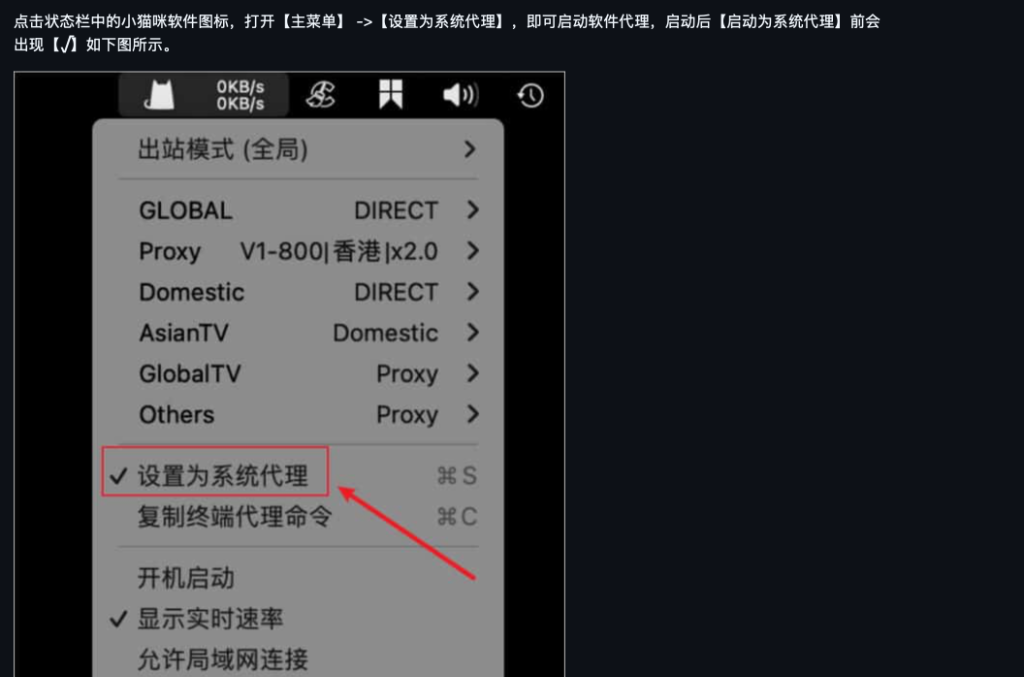 设置为系统代理